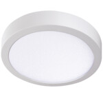 Produkt z rodziny -CARSA V2LED 24W-NW-W